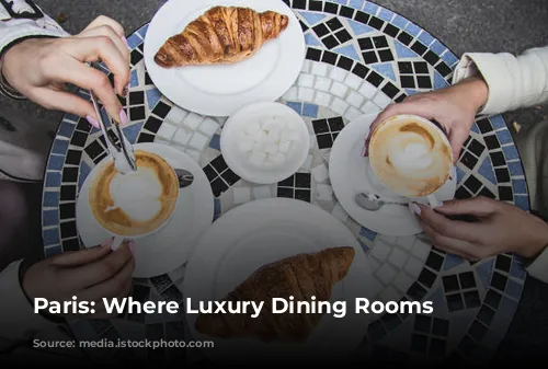 Paris: Where Luxury Dining Rooms Bloom