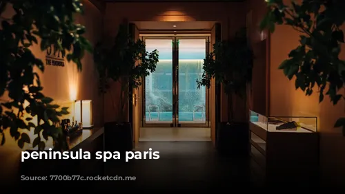 peninsula spa paris