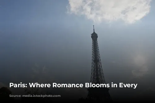 Paris: Where Romance Blooms in Every Corner