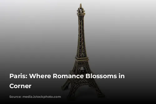 Paris: Where Romance Blossoms in Every Corner