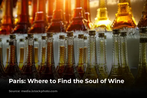 Paris: Where to Find the Soul of Wine