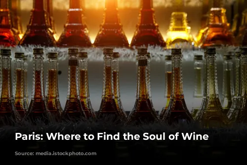 Paris: Where to Find the Soul of Wine