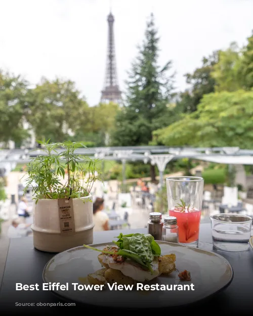 Best Eiffel Tower View Restaurant