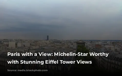 Paris with a View: Michelin-Star Worthy Restaurants with Stunning Eiffel Tower Views