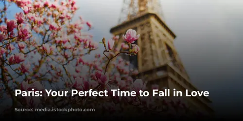 Paris: Your Perfect Time to Fall in Love