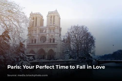 Paris: Your Perfect Time to Fall in Love