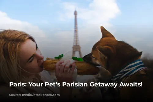 Paris: Your Pet's Parisian Getaway Awaits!