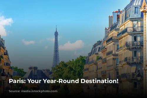 Paris: Your Year-Round Destination!