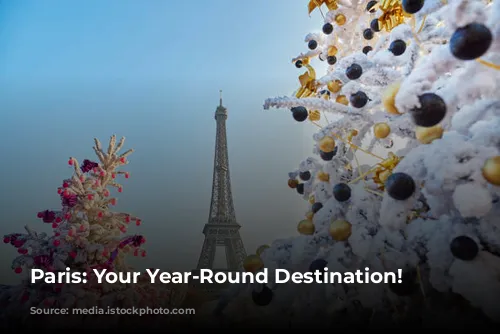 Paris: Your Year-Round Destination!