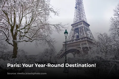 Paris: Your Year-Round Destination!