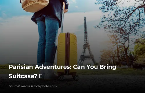 Parisian Adventures: Can You Bring Your Suitcase? 🧳