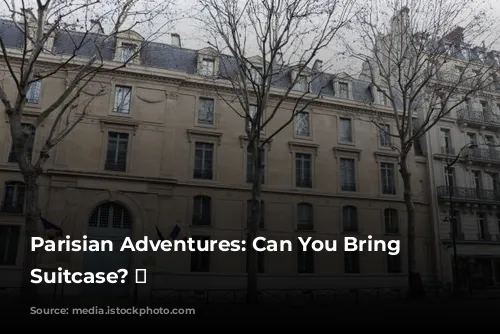 Parisian Adventures: Can You Bring Your Suitcase? 🧳