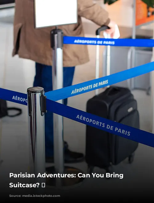 Parisian Adventures: Can You Bring Your Suitcase? 🧳