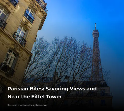 Parisian Bites: Savoring Views and Flavors Near the Eiffel Tower