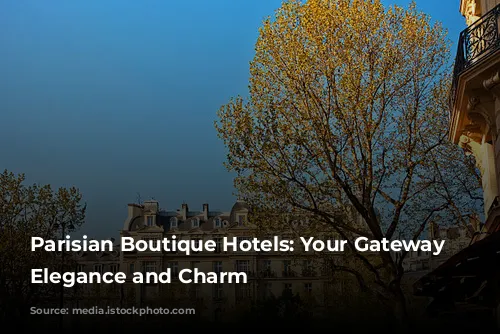 Parisian Boutique Hotels: Your Gateway to Elegance and Charm