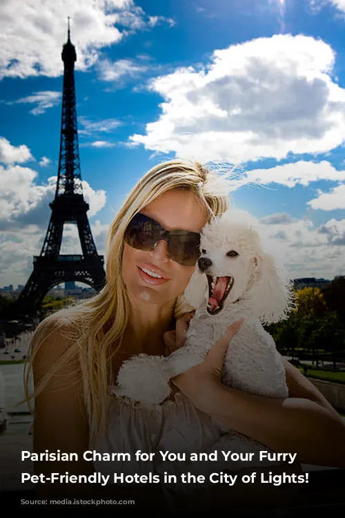 Parisian Charm for You and Your Furry Friend:  Pet-Friendly Hotels in the City of Lights!