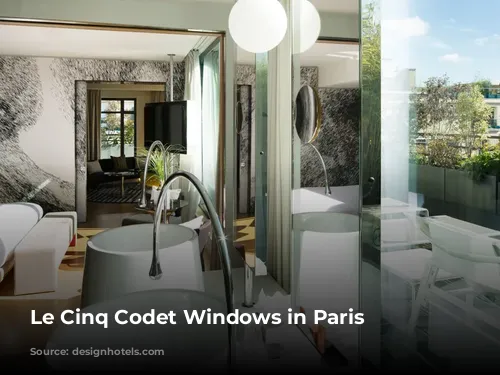 Le Cinq Codet Windows in Paris