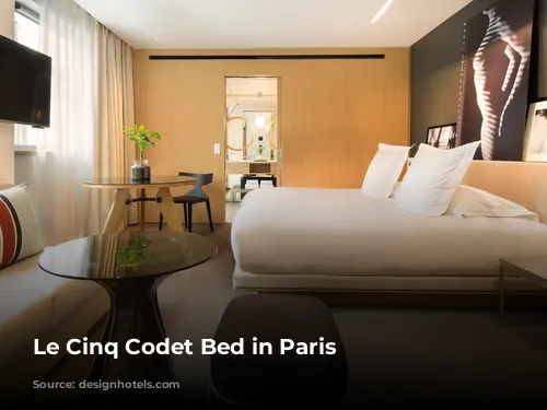 Le Cinq Codet Bed in Paris