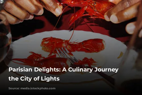 Parisian Delights: A Culinary Journey Through the City of Lights