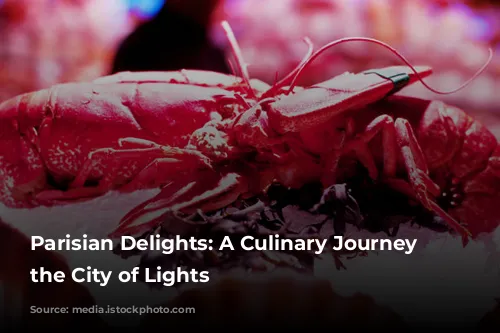 Parisian Delights: A Culinary Journey Through the City of Lights