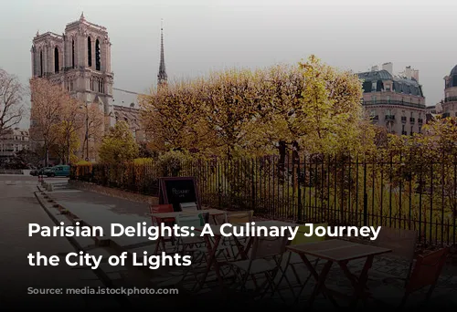 Parisian Delights: A Culinary Journey Through the City of Lights