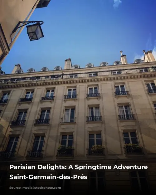 Parisian Delights: A Springtime Adventure in Saint-Germain-des-Prés