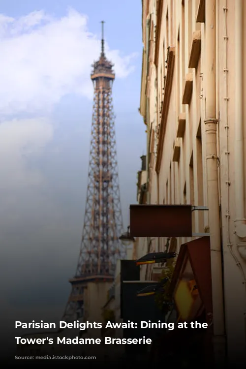 Parisian Delights Await: Dining at the Eiffel Tower's Madame Brasserie