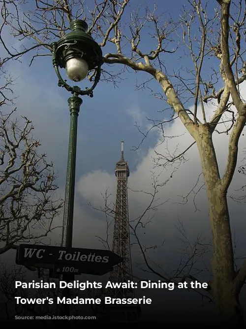 Parisian Delights Await: Dining at the Eiffel Tower's Madame Brasserie