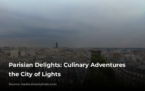 Parisian Delights: Culinary Adventures in the City of Lights