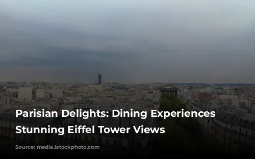 Parisian Delights: Dining Experiences with Stunning Eiffel Tower Views