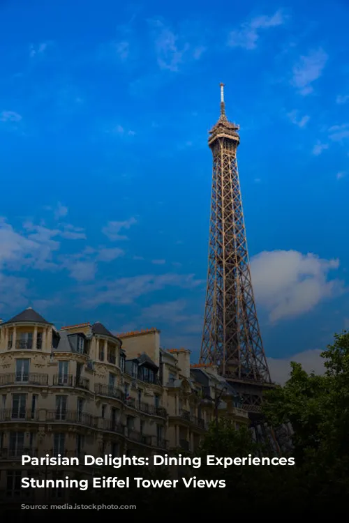 Parisian Delights: Dining Experiences with Stunning Eiffel Tower Views