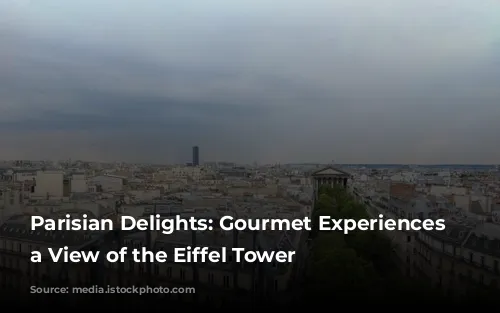 Parisian Delights: Gourmet Experiences with a View of the Eiffel Tower