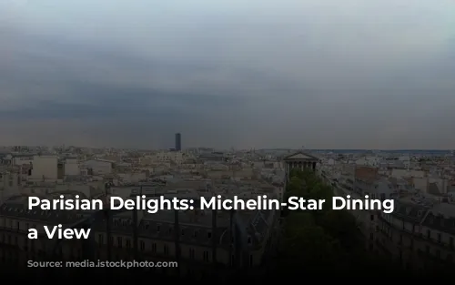 Parisian Delights: Michelin-Star Dining with a View