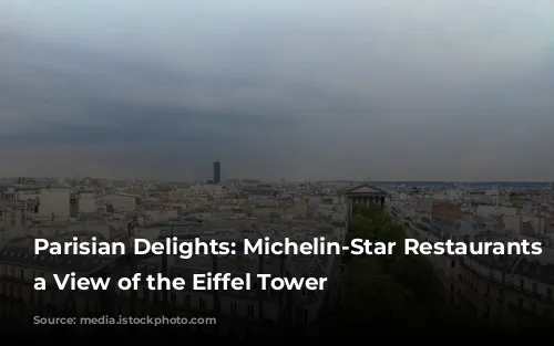 Parisian Delights: Michelin-Star Restaurants with a View of the Eiffel Tower