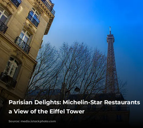 Parisian Delights: Michelin-Star Restaurants with a View of the Eiffel Tower