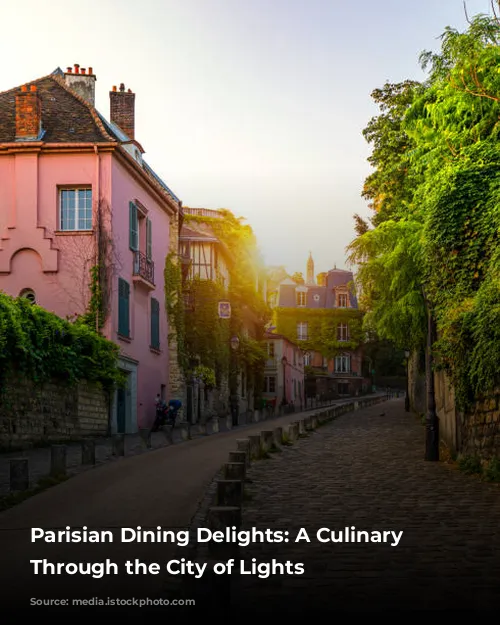 Parisian Dining Delights: A Culinary Adventure Through the City of Lights