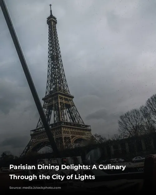 Parisian Dining Delights: A Culinary Journey Through the City of Lights