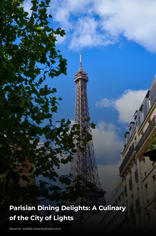 Parisian Dining Delights: A Culinary Tour of the City of Lights