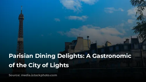 Parisian Dining Delights: A Gastronomic Tour of the City of Lights