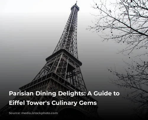 Parisian Dining Delights: A Guide to the Eiffel Tower's Culinary Gems