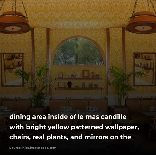 dining area inside of le mas candille hotel with bright yellow patterned wallpaper, woven chairs, real plants, and mirrors on the walls