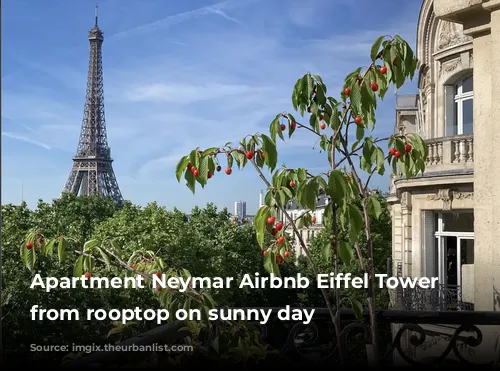 Apartment Neymar Airbnb Eiffel Tower view from rooptop on sunny day