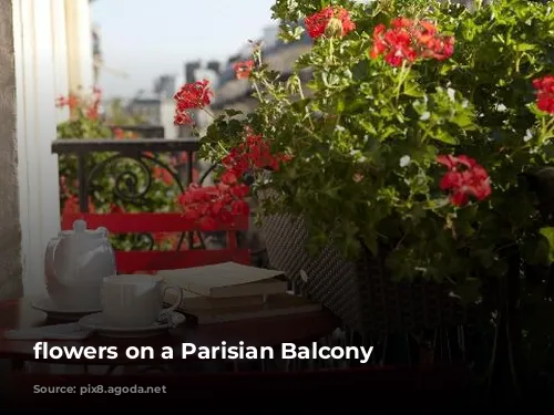 flowers on a Parisian Balcony