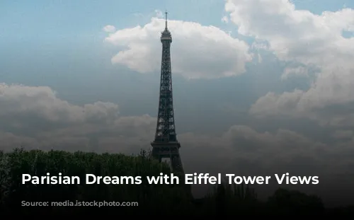 Parisian Dreams with Eiffel Tower Views