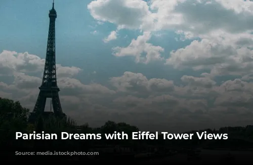 Parisian Dreams with Eiffel Tower Views