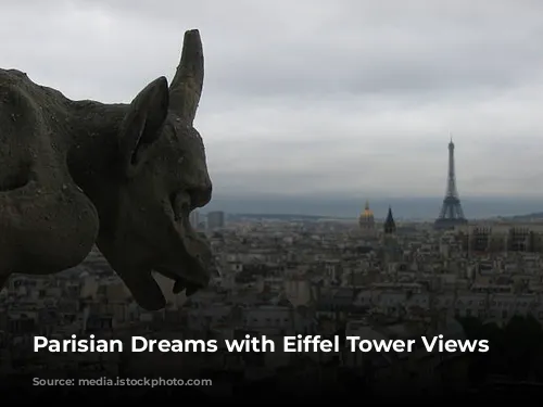 Parisian Dreams with Eiffel Tower Views