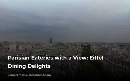 Parisian Eateries with a View: Eiffel Tower Dining Delights