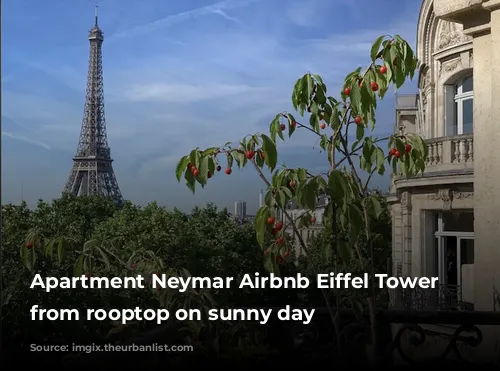 Apartment Neymar Airbnb Eiffel Tower view from rooptop on sunny day