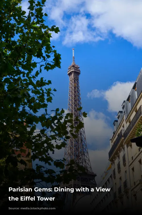 Parisian Gems: Dining with a View of the Eiffel Tower