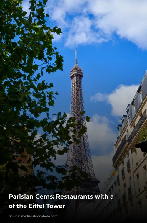 Parisian Gems: Restaurants with a View of the Eiffel Tower